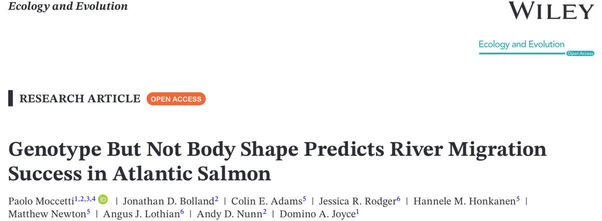🚨 New Paper Alert 🚨

Interested in fish #migration 🐟, acoustic #telemetry 🔊, #genomics 🧬, and #morphometrics 📐?

Check out how we combined them all in this study!

Read it here #OpenAccess

👉 onlinelibrary.wiley.com/doi/10.1002/ec…