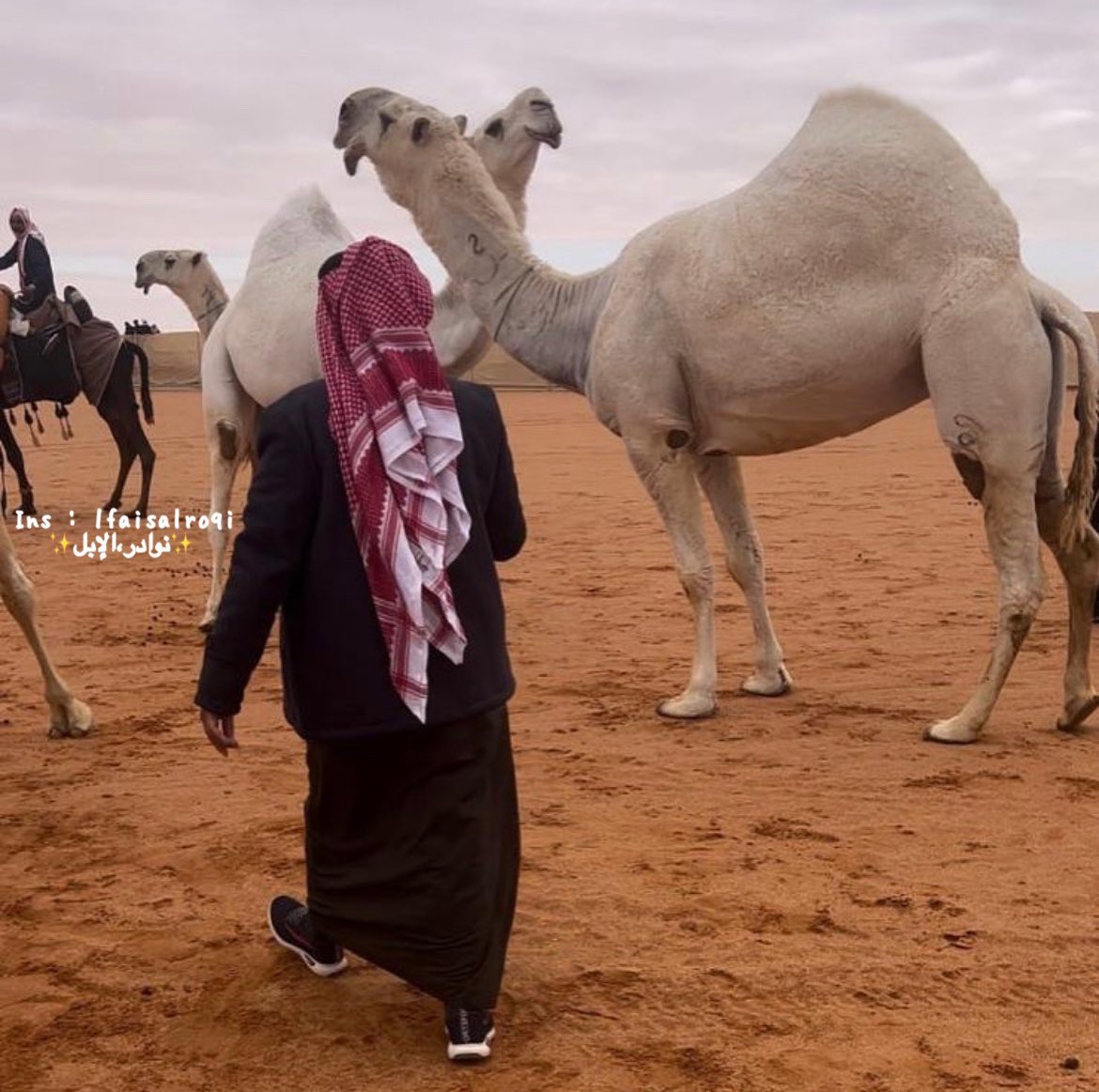 اتوقع الظروف تنصف رعاده وترجع لمركزها الحقيقي 🥇