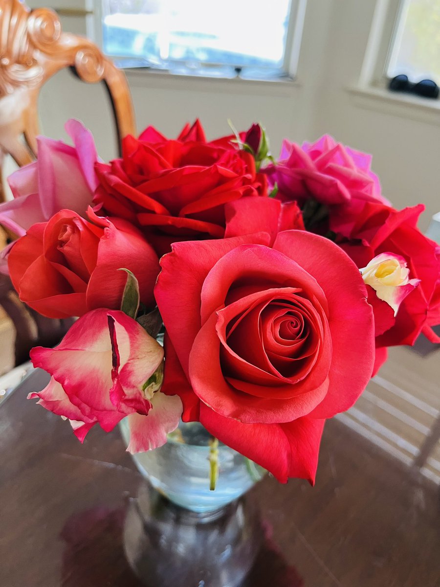 Cher Norris❤️🇺🇸🌻 (@chernorris) on Twitter photo <a href="/HARTResearch/">Jacquelyn Allen-Collinson 🏞️🌼🇪🇺🎸</a> <a href="/sjholt50/">Stephanie Holt🦊</a> <a href="/VenetiaJane/">VenetiaJane's Garden</a> <a href="/DavidMariposa1/">David</a> <a href="/LisaMSutch/">Lisa Sutch</a> <a href="/christinedemar/">🌱Christine DeMarco</a> <a href="/Rubyslippers82/">Ruby Slippers</a> Good afternoon, hope you are having a wonderful day Absolutely beautiful! Jacque ! Such a pretty colour! 🩷 #RoseWednesday 🌹 <a href="/HARTResearch/">Jacquelyn Allen-Collinson 🏞️🌼🇪🇺🎸</a> <a href="/sjholt50/">Stephanie Holt🦊</a> <a href="/VenetiaJane/">VenetiaJane's Garden</a> <a href="/DavidMariposa1/">David</a> <a href="/LisaMSutch/">Lisa Sutch</a> <a href="/christinedemar/">🌱Christine DeMarco</a> <a href="/Rubyslippers82/">Ruby Slippers</a> Good afternoon, hope you are having a wonderful day Absolutely beautiful! Jacque ! Such a pretty colour! 🩷 #RoseWednesday 🌹