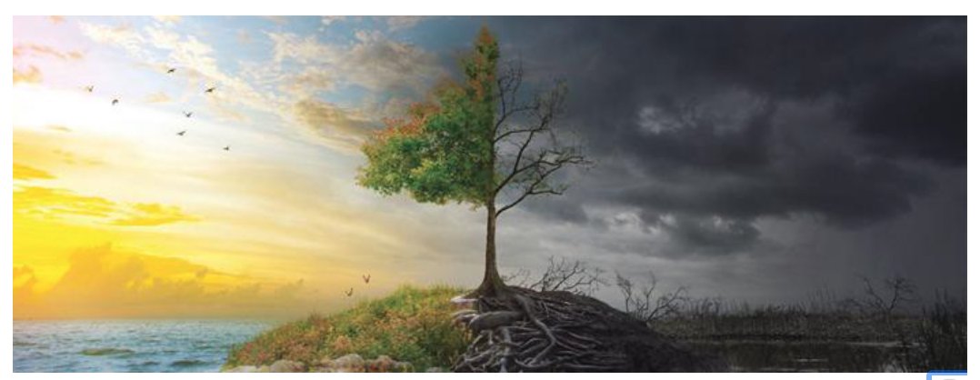 The NCA5 Key Messages Tool, developed as part of the NC CASC’s 2024 Rapid Climate Assessment Program (RCAP), provides a state-specific summary of the NCA5 for the north central region of the US. Learn more here: nccasc.colorado.edu/news/nca5-key-…

#climatetwitter #climate