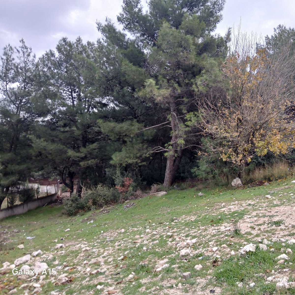 Merhaba HAYIRLI geceler  sarnıç'tan var mı