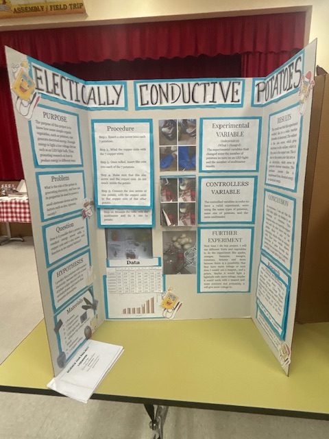 Myrtle Avenue Microschool tweet media