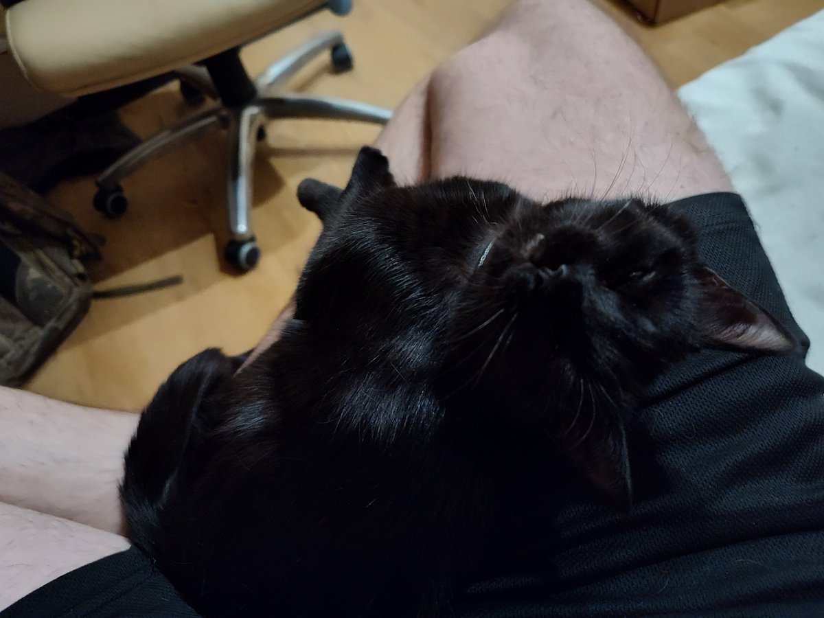 Life_leon's tweet image. Тут  тепер буде більше її...