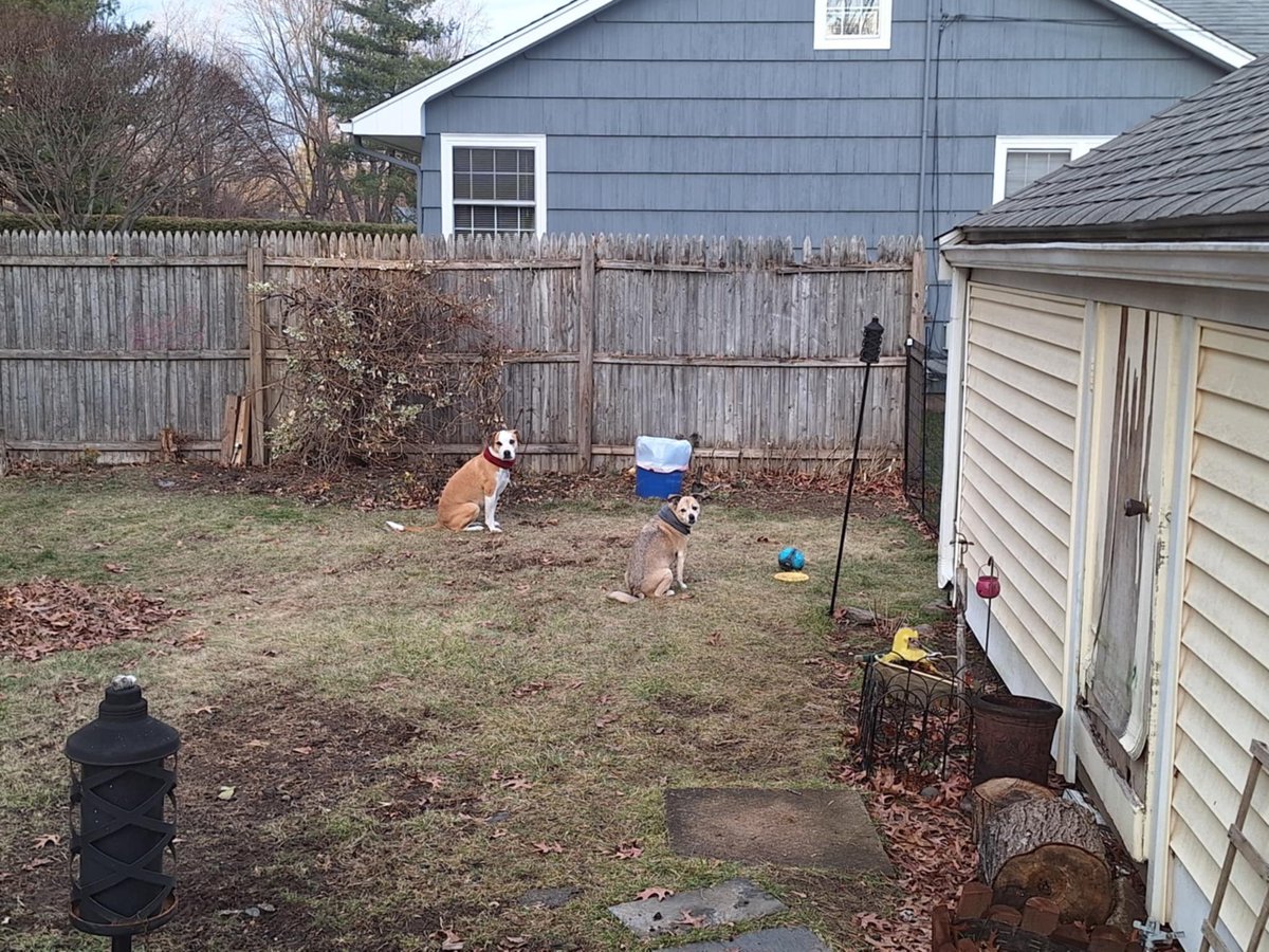 We were sniffin someone’s barbecue 🍖 outside😂 and decided burgers 🍔 on the grill tonight..!! Have a good evening everyone 🫶🏻🫶🏻