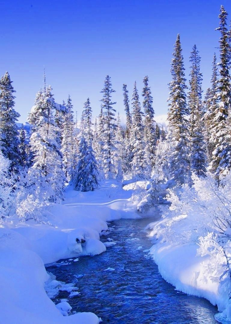 LoveSongs4Peace's tweet photo. Stream flows through a winter forest in lapland, Finland  
🇫🇮 https://t.co/cPx3R8AZxE