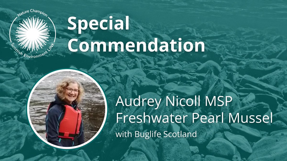 Nature Champions (@naturechampions) on Twitter photo Before the MSP of the Year is announced, there is a Special Commendation: <a href="/Audrey4ASNK/">Audrey Nicoll MSP</a> has been recognised for her work championing the Freshwater Pearl Mussel with <a href="/Buzz_dont_tweet/">Buglife</a>.
Audrey has joined multiple visits to see her species and often mentions her role in <a href="/ScotParl/">Scottish Parliament</a>. Before the MSP of the Year is announced, there is a Special Commendation: <a href="/Audrey4ASNK/">Audrey Nicoll MSP</a> has been recognised for her work championing the Freshwater Pearl Mussel with <a href="/Buzz_dont_tweet/">Buglife</a>.
Audrey has joined multiple visits to see her species and often mentions her role in <a href="/ScotParl/">Scottish Parliament</a>.