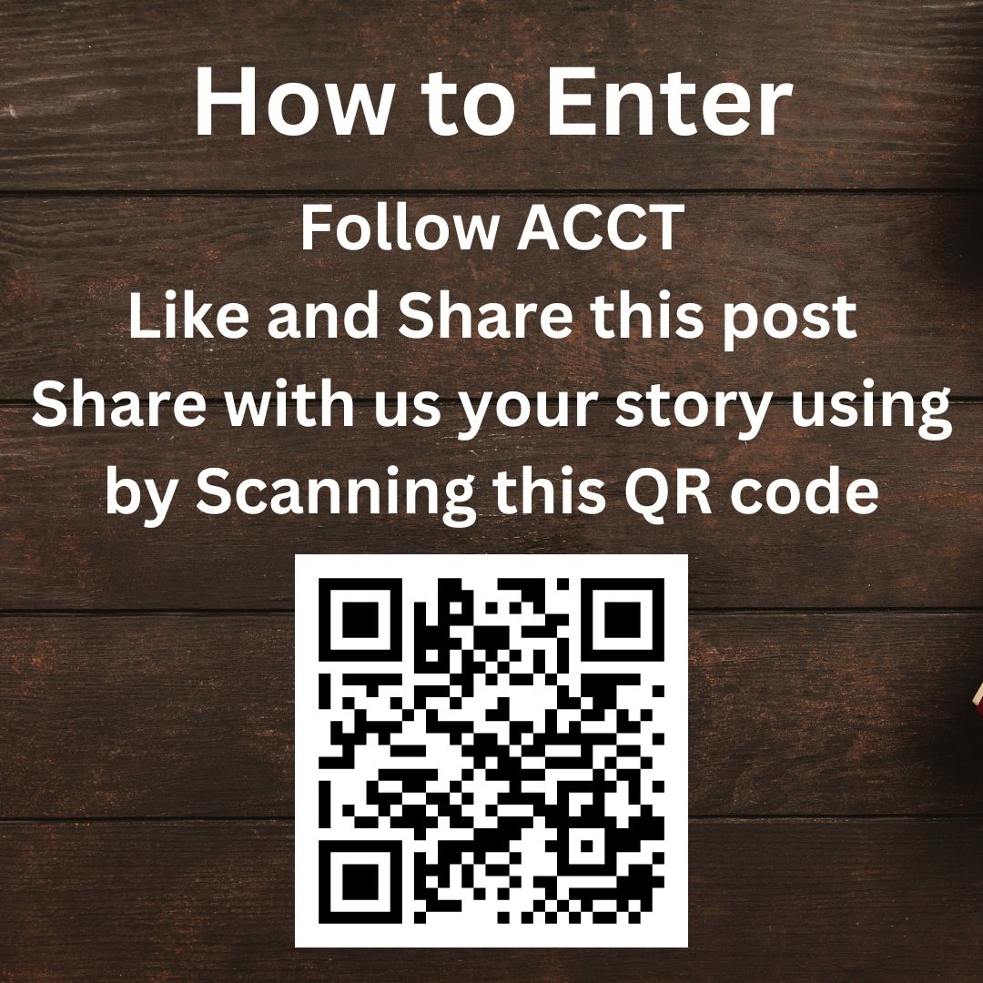 ⏳ 2 weeks left to win a $50 Gift Card! 🎉
1️⃣ Follow @ACCT_Foundation
2️⃣ Like &amp; Share this post
3️⃣ Submit your story 👉 forms.gle/FkM8JLuc2uDbfS…
🎨 Eating Bitterness exhibit ends Jan 4, 2025!
🎨 Eating Bitterness exhibit:
📍 Borealis Gallery, Edmonton