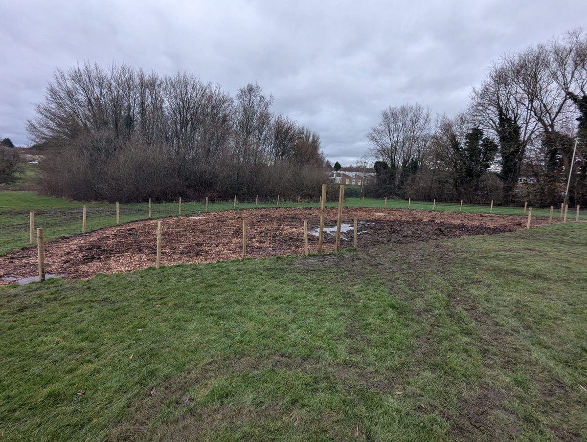 EcoSchoolsLCC's tweet photo. We had a brilliant day planting the #TinyForest at Netherhall Drive Open Space! Thank you to @StJoseLeicester for your amazing work planting so many trees, and to the fab volunteers who helped in the afternoon! @Earthwatch_Eur https://t.co/2KG8cEPAUk