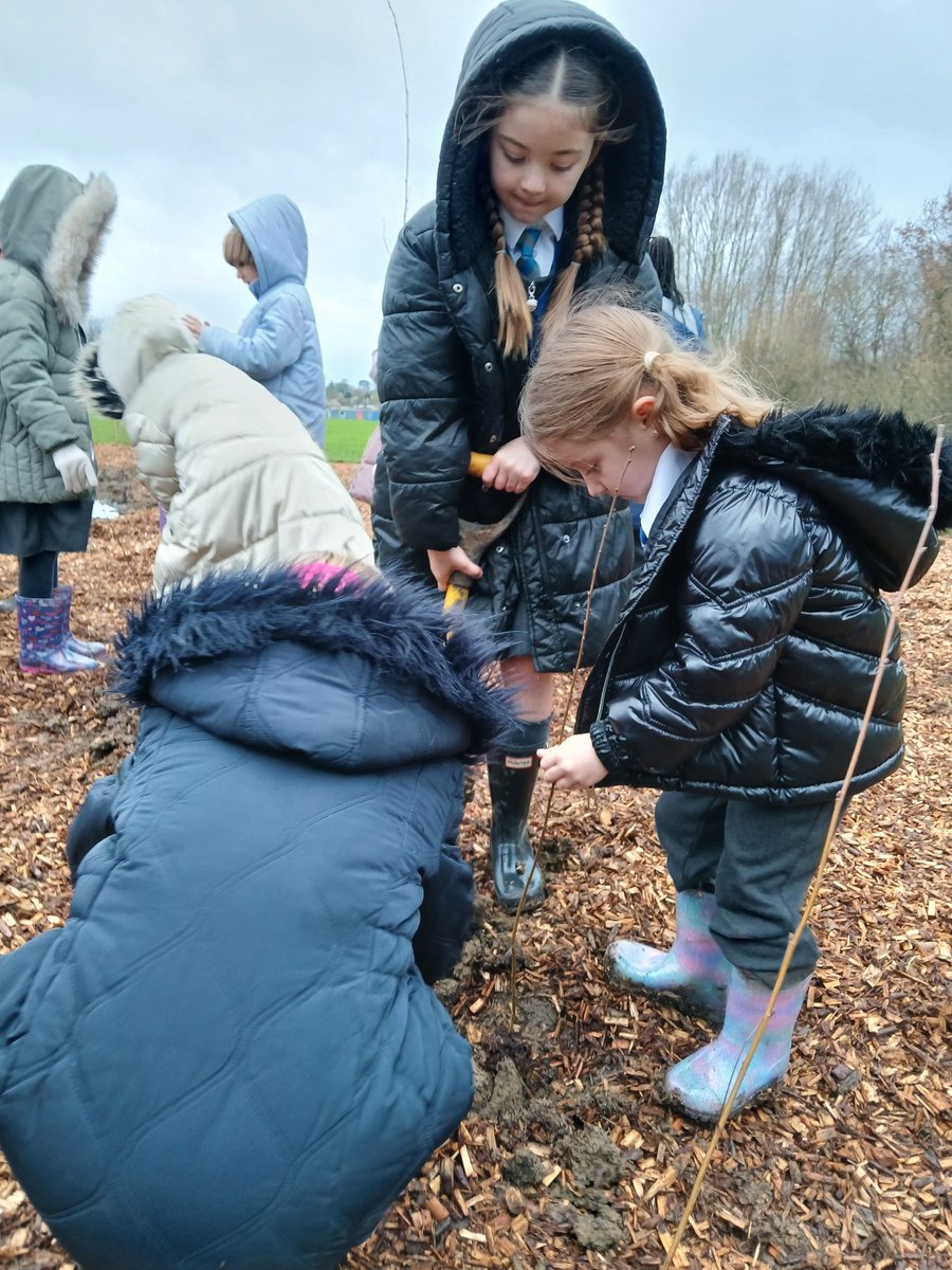 EcoSchoolsLCC's tweet photo. We had a brilliant day planting the #TinyForest at Netherhall Drive Open Space! Thank you to @StJoseLeicester for your amazing work planting so many trees, and to the fab volunteers who helped in the afternoon! @Earthwatch_Eur https://t.co/2KG8cEPAUk