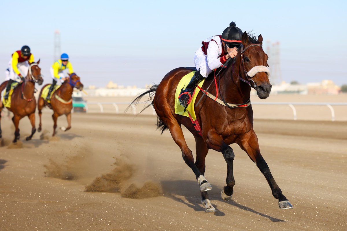 الأجتماع السابع 
الشوط الثاني 
المركز الأول •الفرس مستورة
أسطبل •الرشيدي 
الخيال •دانييل 
المسافة •c51200