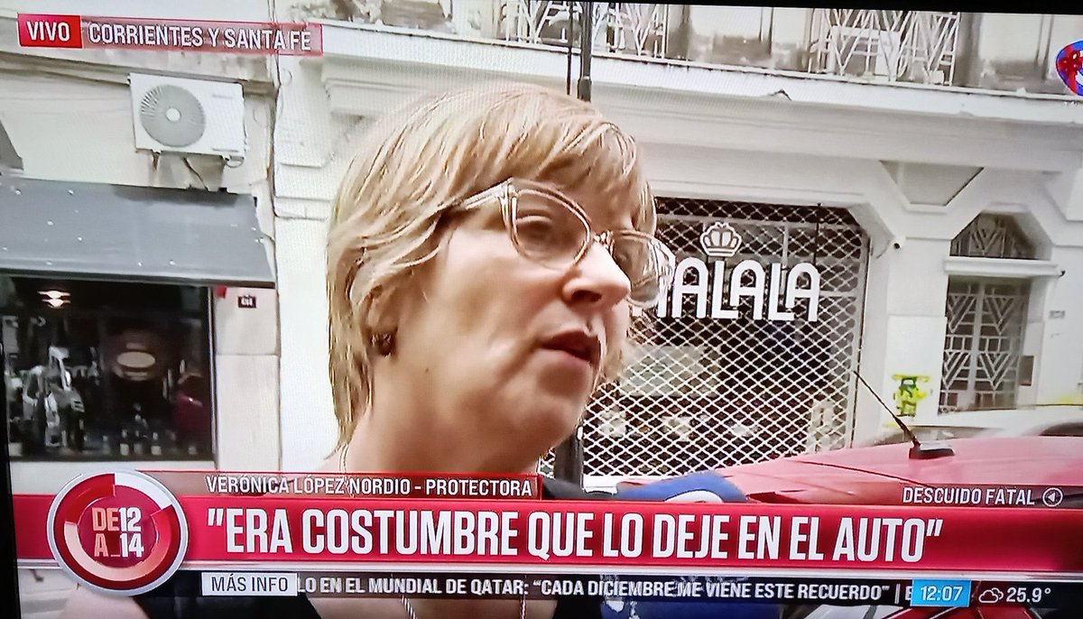 Para los que defienden a la conchuda que dejó al perro encerrado en el auto: