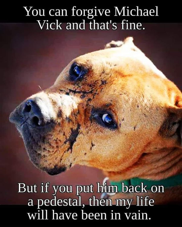 karen_michael's tweet photo. @BleacherReport @ByDavidTeel Really @NorfolkStateFB?? @MichaelVick "… thought it was funny to watch the pit bull dogs injure or kill the other dogs. Family pets were used for training. Vick, himself, took part in the killing of 6 to 8 underperforming dogs by hanging &amp; drowning.” https://t.co/Eas0fMRrSG https://t.co/9ke8ixUwpB