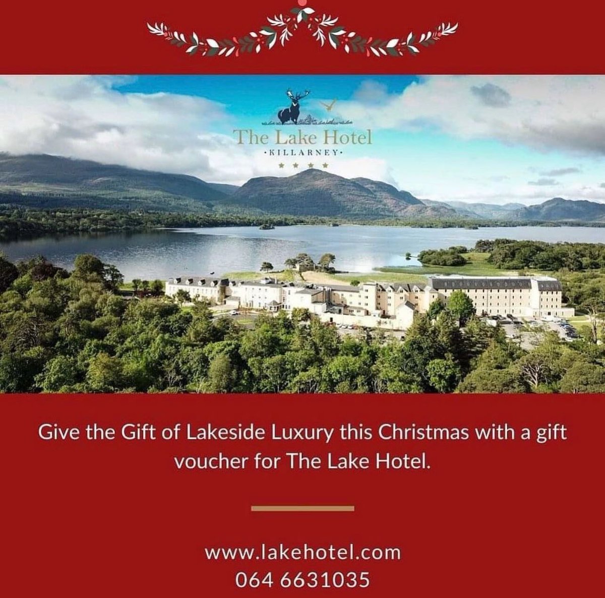 LakeHotel's tweet image. Treat a loved one to a Lake Hotel gift voucher this Christmas 🎁🎁❤️❤️ Visit lakehotel.com or 📞 064 6631035 for more information. #lakehotelkillarney #lakehotel #giftideas #giftvoucher #christmasvouchers #familyownedhotel