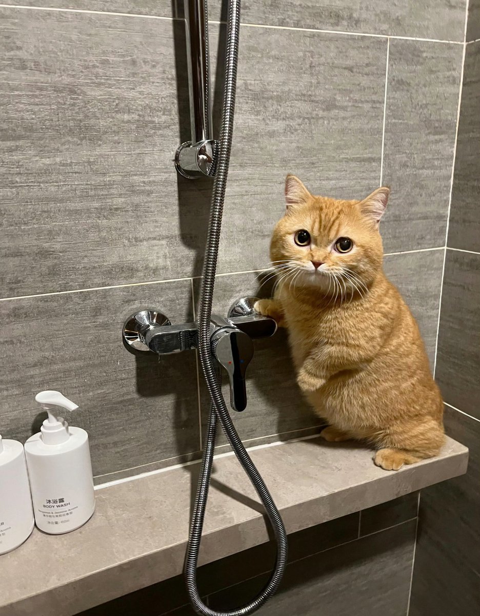 023情侣-红酒加雪碧 (@wwndng5222073) on Twitter photo 