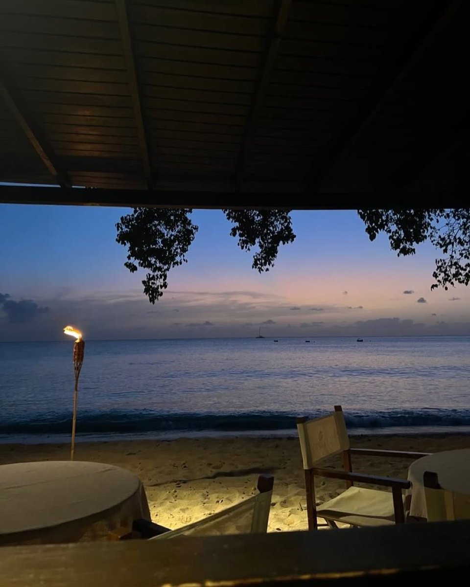 Butterflless's tweet image. 