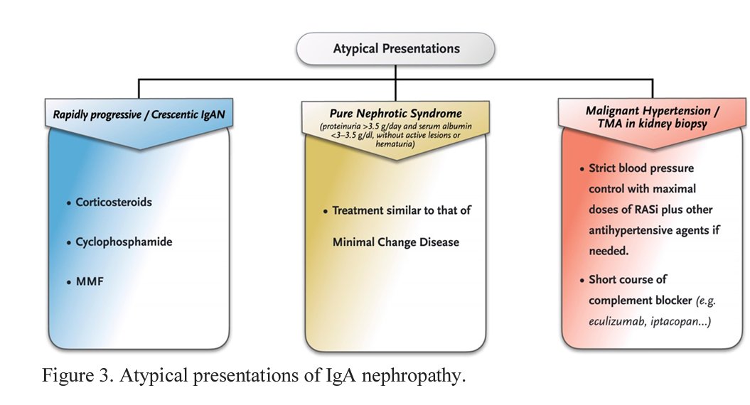 NDTsocial's tweet photo. Tailored management strategies for IgA nephropathy based on clinical presentations

https://t.co/YmkqOUFIFf https://t.co/wQ3DuVD03P