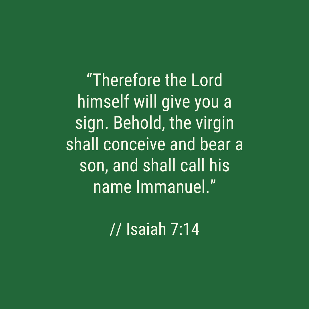 Bible Caddie tweet media