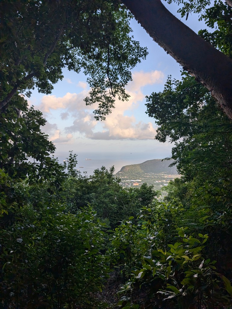 SeaTrekltd's tweet image. What's better than a sunrise hike up a dormant volcano? Have you hiked the Quill?
#statia #thequill #volcano #hike #sunrise #seatrekbvi