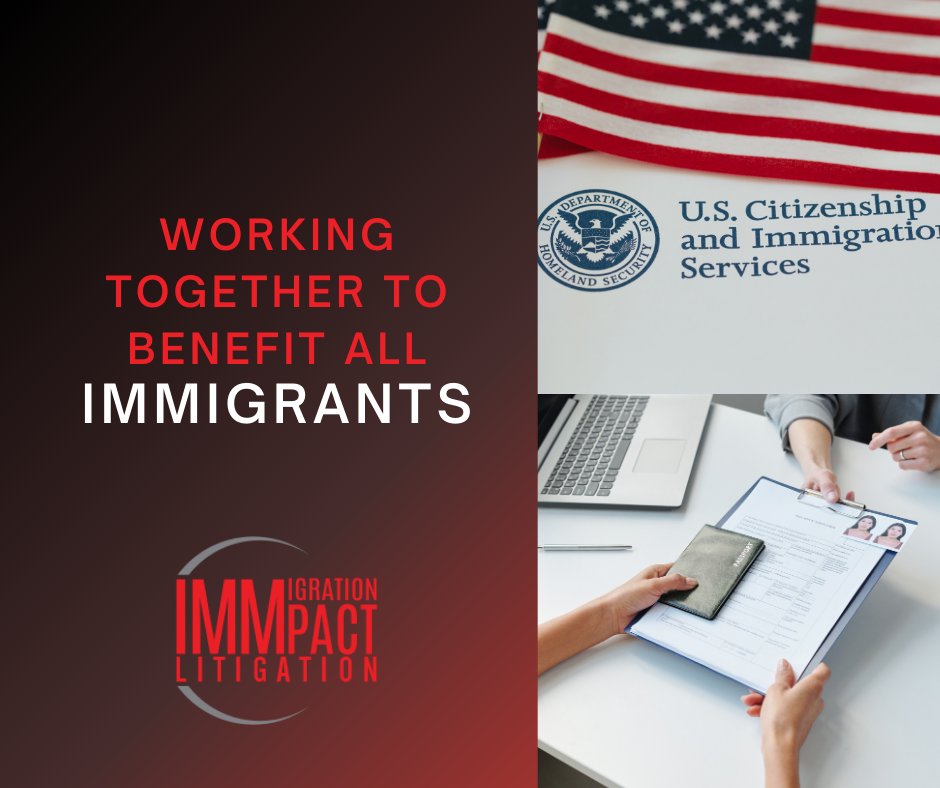 IMMpact Litigation tweet media