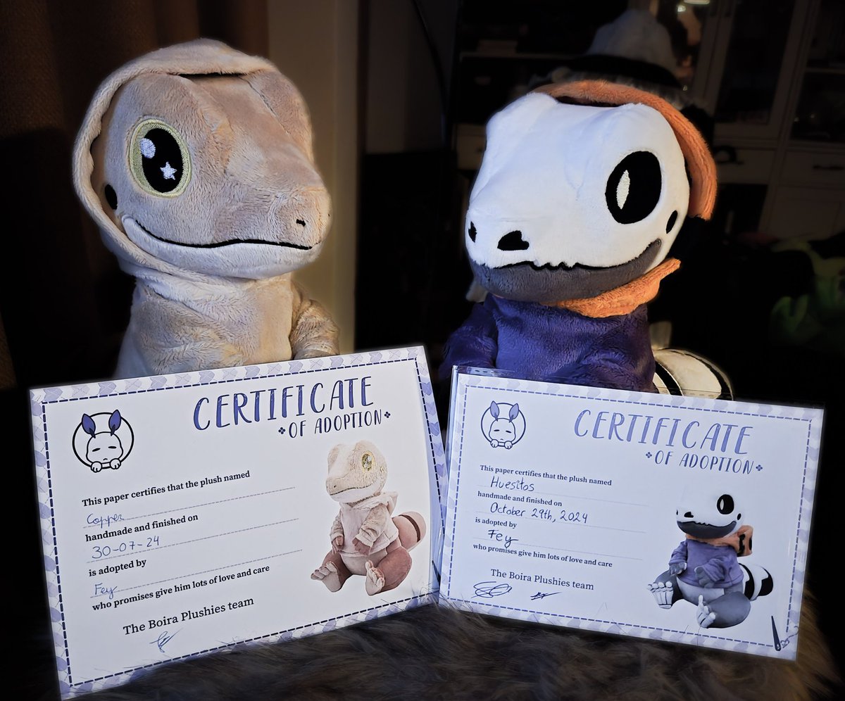 scaleesii's tweet photo. Today, my second hooded lizard named Huesitos from @BoiraPlushies arrived! He will accompany my other lizard plush I got from them named Copper from now on. These lizards are just the cutest! So much care went into them, and it shows! They even came with adoption certificates 🥹 https://t.co/gCjaIO6ZzO
