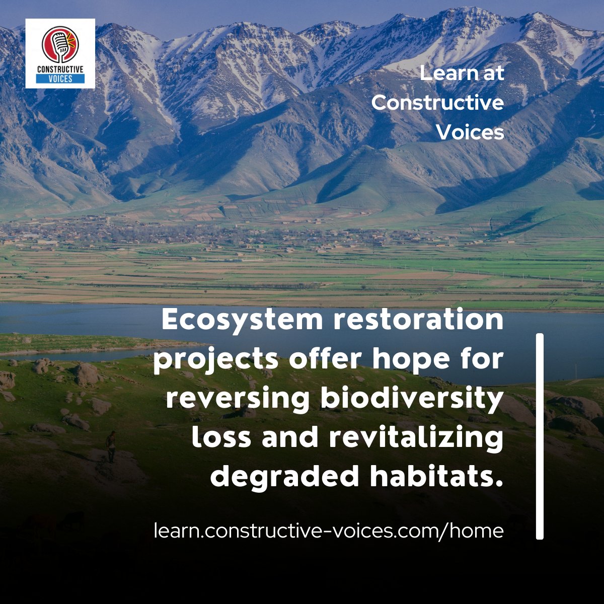 "Ecosystem restoration projects offer hope for reversing biodiversity loss and revitalizing degraded habitats." #biodiversity #biodiversitynetgain #training - learn.constructive-voices.com/home/