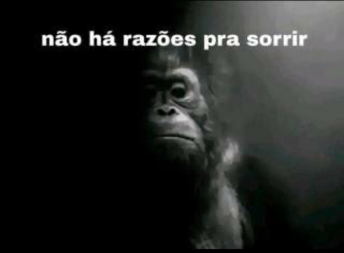 rodezel pero en otra cuenta tweet media