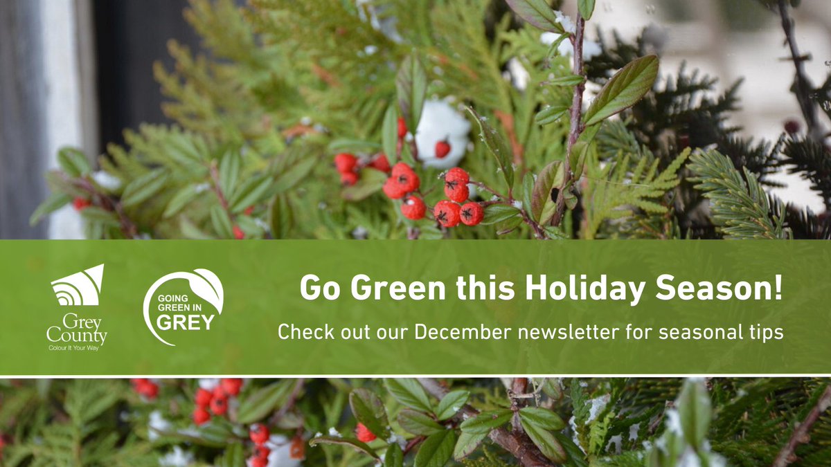 Wondering how to talk to family or friends about climate change, or looking for local gift ideas? Check out our December #ClimateAction newsletter! 🎄

Climate Action Newsletter - December 2024: mailchi.mp/grey/climate-a…

Subscribe to Grey County email updates - link in newsletter.