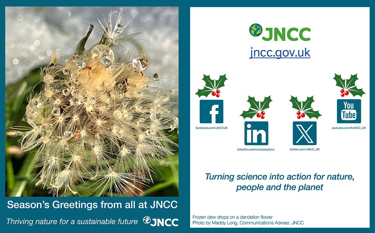JNCC_UK's tweet image. Season's greetings and best wishes for the new year to our valued friends, colleagues and partners across the globe from all at JNCC! 🌍💚

#TurningScienceIntoAction #ForNaturePeoplePlanet