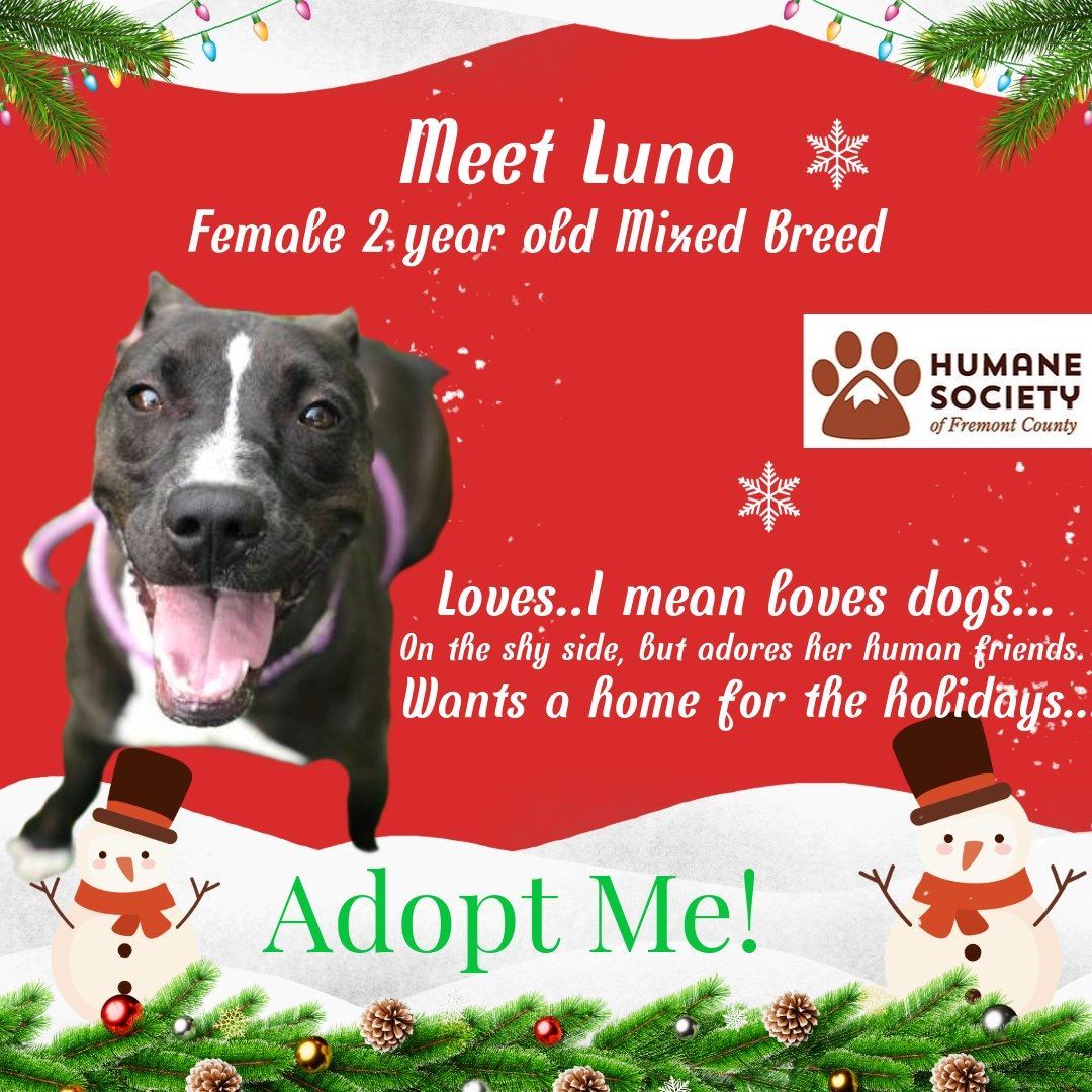 FremontHumane tweet media