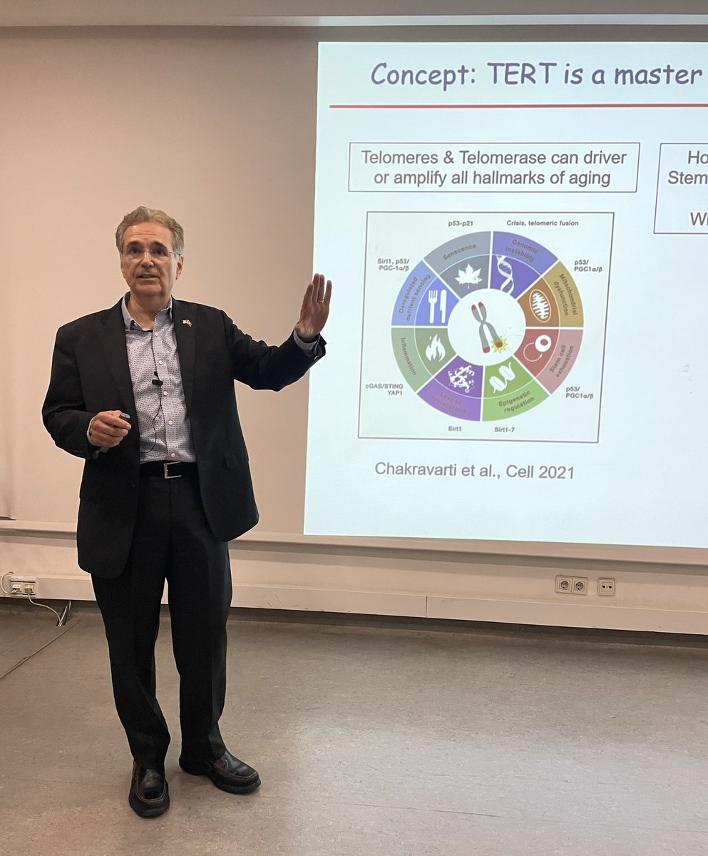 BSilva_Santos's tweet image. Great talk by @RonDePinho at @GIMM_Institute on telomerase in ageing (cancer, neurodegeneration)! Amazing body of work!!