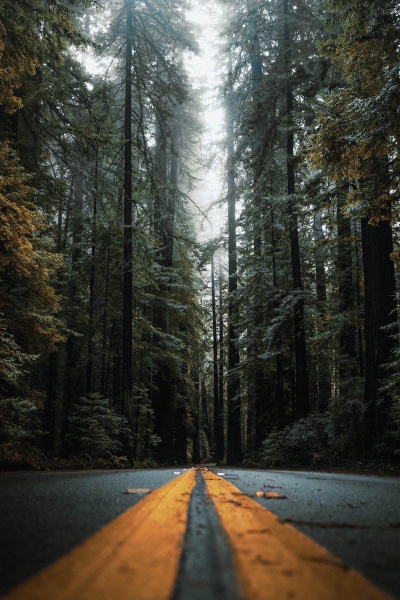 Hunter Rayl | Photographer tweet media