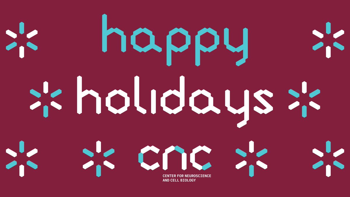 We wish you happy holidays and a successful scientific year!
Desejamos Boas festas e um 2025 recheado de sucessos científicos! 🎅 🎄