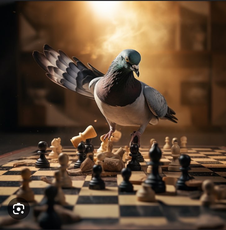 polenz_r's tweet image. ARD und ZDF bitten Habeck zum „Tauben-Schach“ mit Frau Weidel. Gut, dass er nicht hingeht. In diesem TV-Format kommt niemand den Halb- und Viertelwahrheiten und Whataboutismen der AfD hinterher. Umgekehrt erreicht die AfD  ihr strategisches Ziel: als normal wahrgenommen zu werden