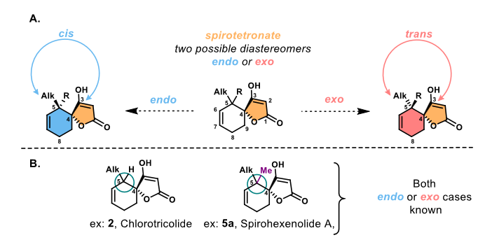 Masson Group (@groupmasson) on Twitter photo Congrats again to Dr. @AurelBrion for his review on "Stereoselective strategies to access spirotetronate natural products", published just in time before his PhD defence ! <a href="/ggmasson1/">Géraldine Masson</a> <a href="/ICSN_lab/">icsn_upr2301</a>
👉 comptes-rendus.academie-sciences.fr/chimie/article… Congrats again to Dr. @AurelBrion for his review on "Stereoselective strategies to access spirotetronate natural products", published just in time before his PhD defence ! <a href="/ggmasson1/">Géraldine Masson</a> <a href="/ICSN_lab/">icsn_upr2301</a>
👉 comptes-rendus.academie-sciences.fr/chimie/article…