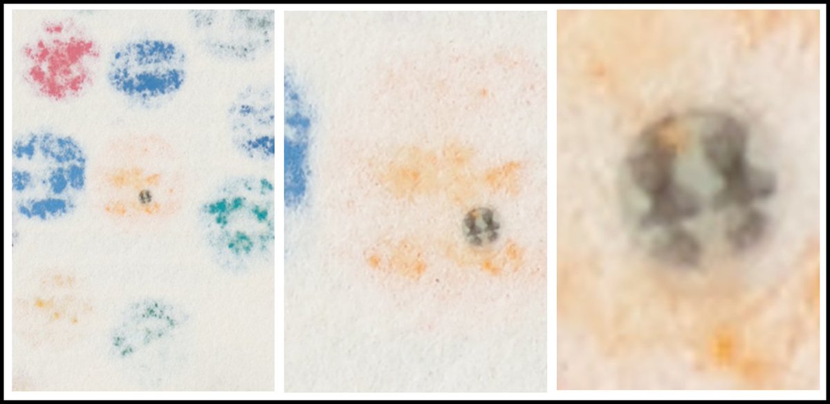 One of the many anticounterfeiting methods <a href="/HENI/">HENI</a> used for #TheCurrency  physical is a miniscule microdot on the back of each piece.
Here is my #NFT - you can just about make out that <a href="/hirst_official/">Damien Hirst</a> fella in the microdot 🔎