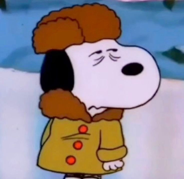 “Where’s your holiday spirit!”
Me: