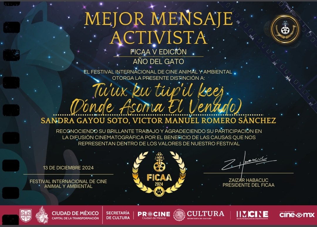 AsomaVenado's tweet photo. Muchas gracias a todos y todas quienes han sido parte de este proyecto, sobre todo a quienes defienden el territorio y la vida en #Yucatan | Festival Internacional de Cine Ambiental y Animal #Ficaa 5a Edición https://t.co/3ISSYf9kAD