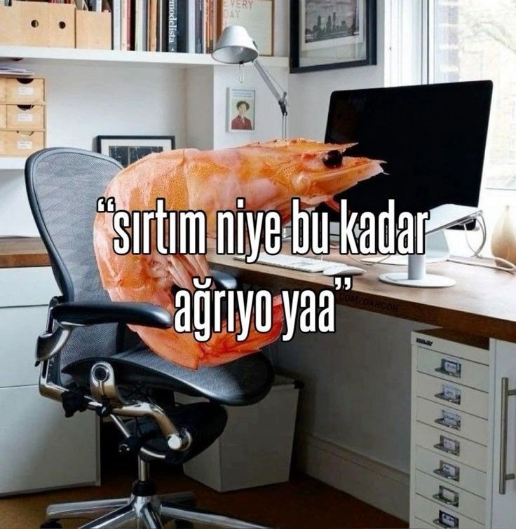 venusneva's tweet photo. Gün boyu bizdir https://t.co/Ax4KsdxCSq