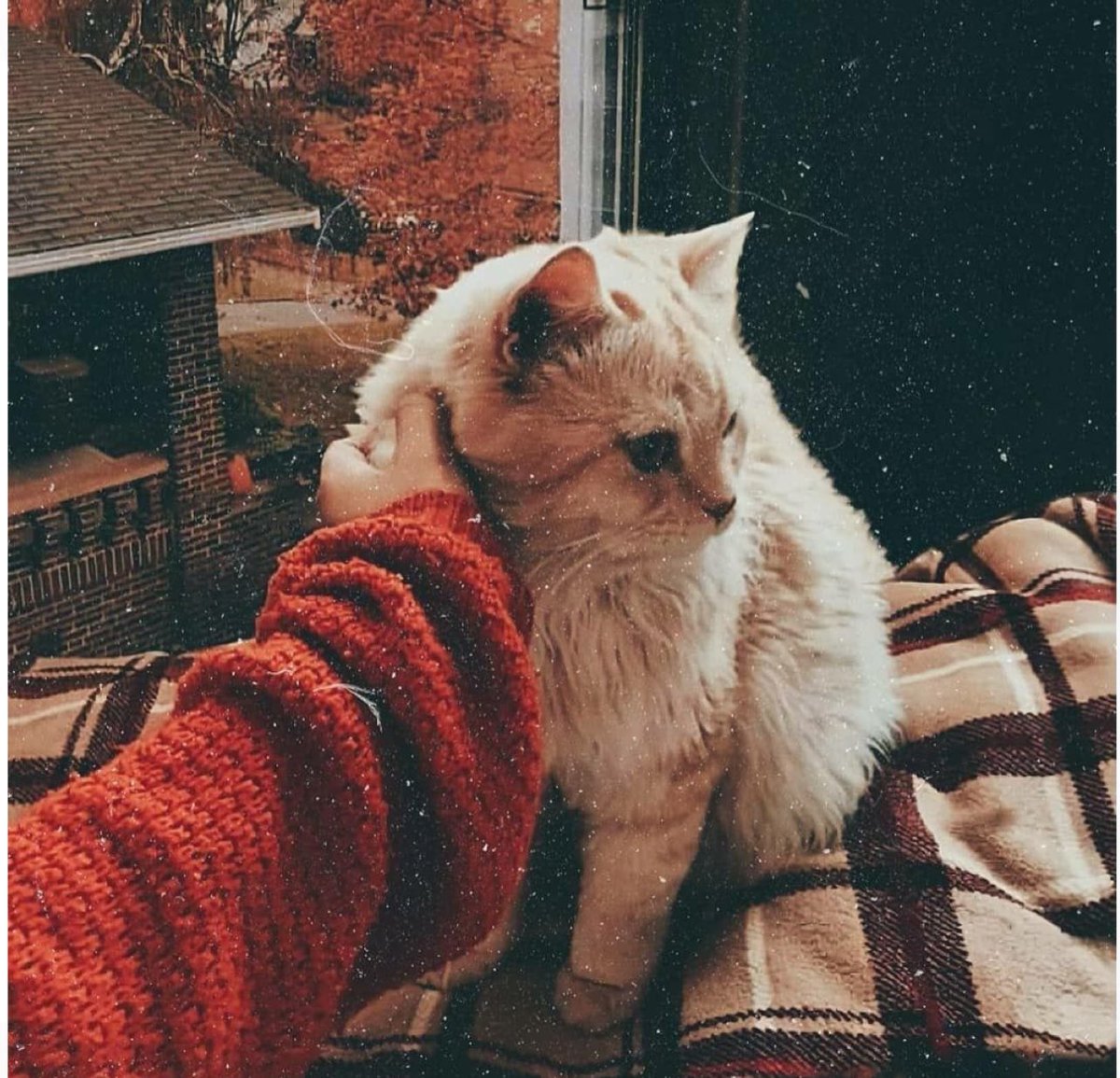 illa_hu's tweet photo. Ciğerini bildiğim yanıltmadı da, 
Değerini bildiğim çok kırdı … https://t.co/eyg0YDVcFH