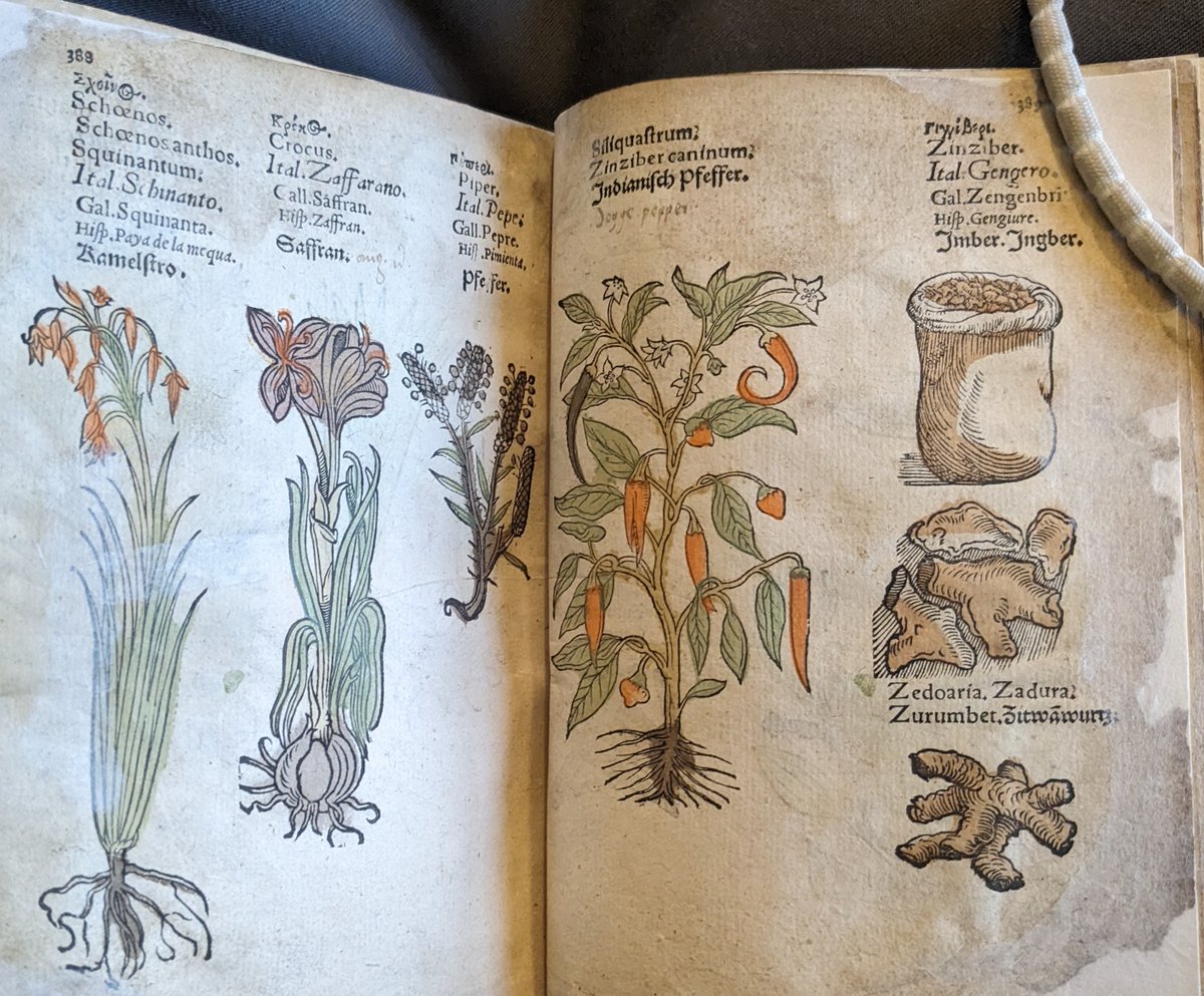 Warming flavours of saffron, pepper, chile and ginger for a cold winter's morning in #Dublin. From a 16th century herbal. a book on the medicinal uses of plants.