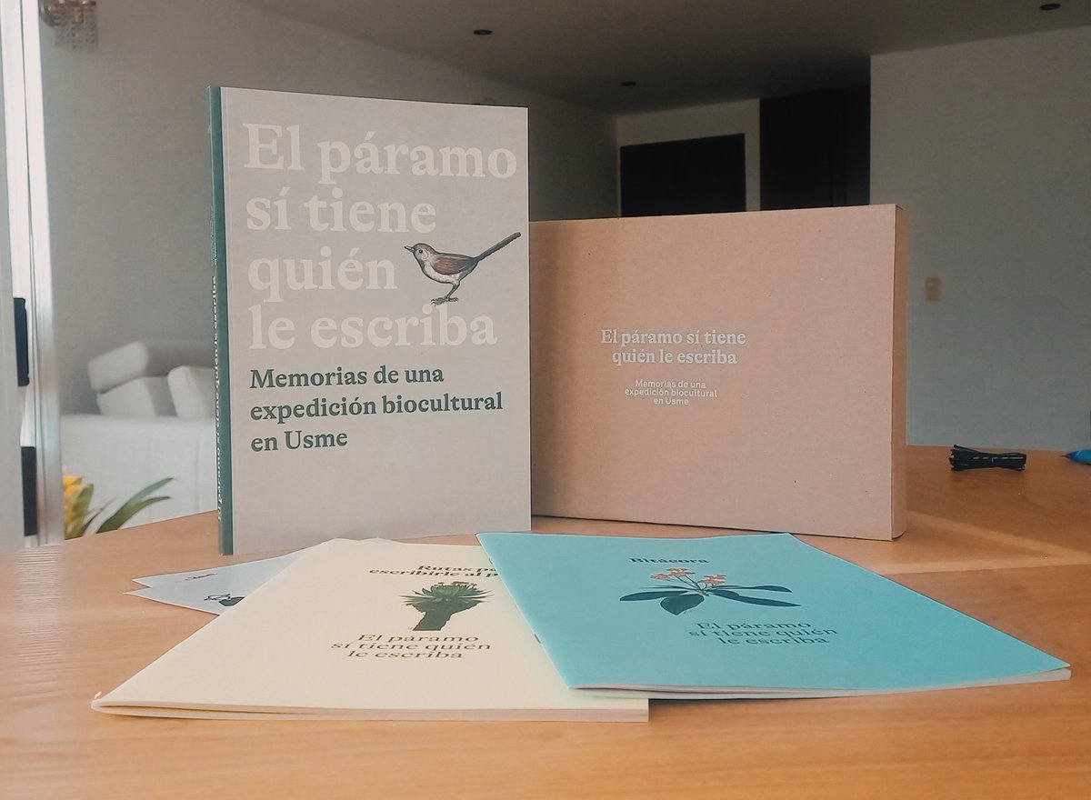 Mónica Monsalve tweet media