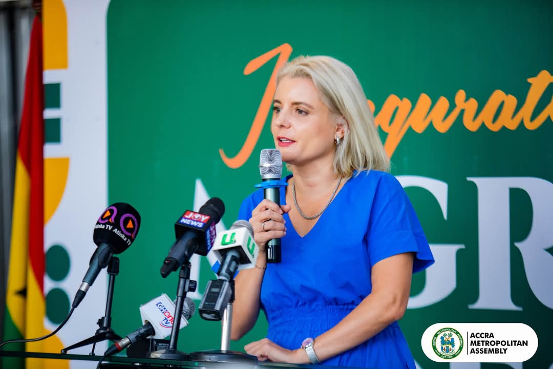 Hon. Elizabeth Naa Kwatsoe Tawiah Sackey tweet media