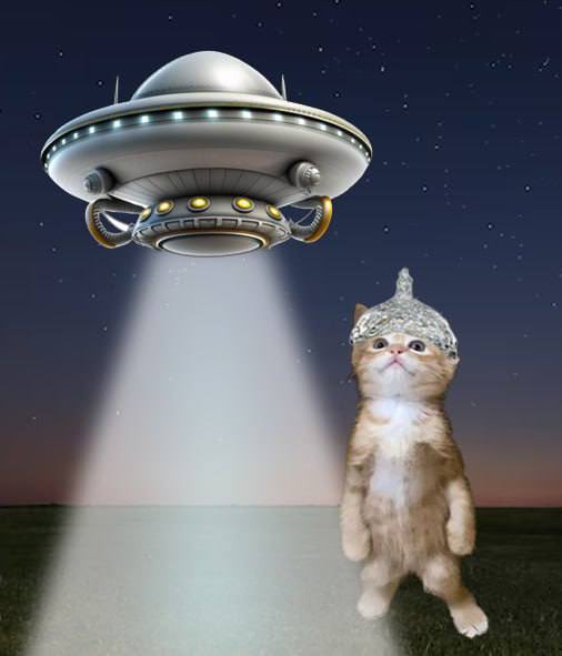 Ozzy_Cat_'s tweet photo. 🛸They say the truth is out there… but $OZZY already got it covered! https://t.co/zgGlx1n5CI