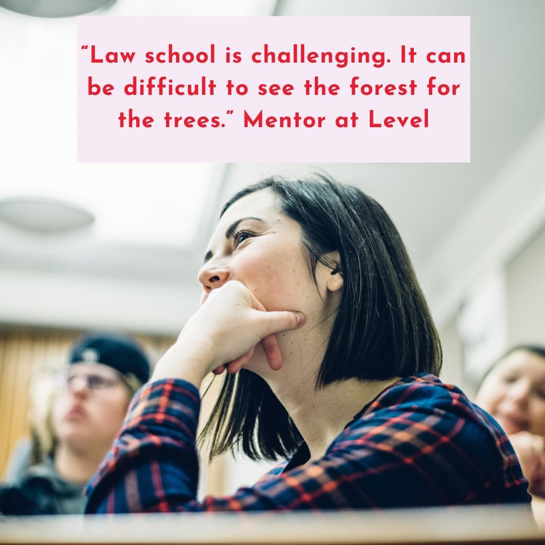 Level Justice tweet media