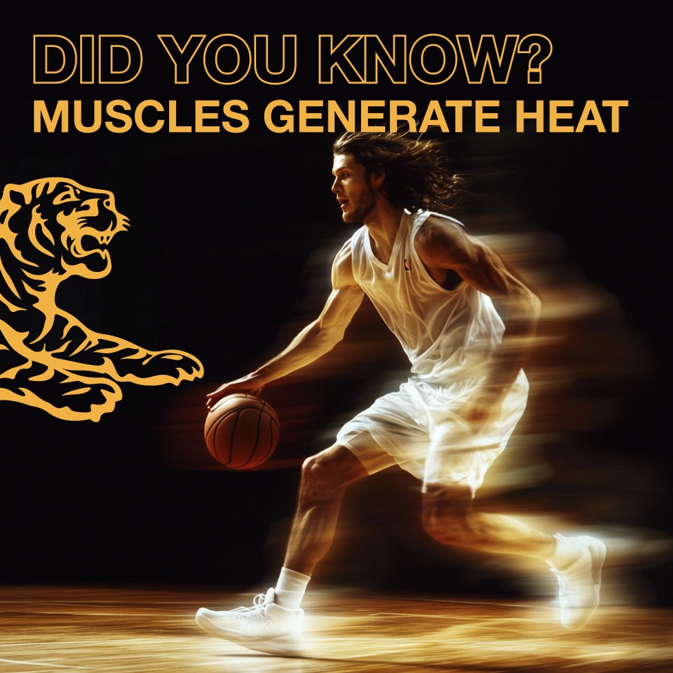 Tiger_Balm_US's tweet photo. 🐯 TIGER TRIVIA 🐯 Ever wonder why you get hot and sweaty during a workout? It's your body's way of cooling down as your muscles generate heat. Remember to think of us for your recovery! 😉🐯
#Recovery #TigerTrivia #TigerBalm #WorksWhereHurts https://t.co/OCPfQmuC92