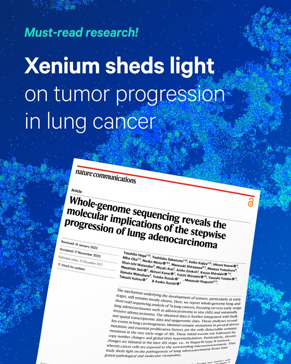10xGenomics's tweet photo. What causes a non-invasive #lungcancer tumor to become invasive? Discover how researchers helped answer that question with Xenium #InSitu by revealing the transcriptomic, cellular &amp; spatial architecture underlying this pathogenic progression. Read now: https://t.co/xgcI8PY0tq https://t.co/wjg4e65Vjx