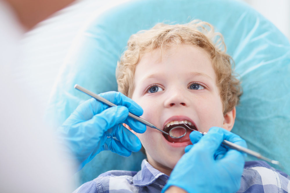 309Shes's tweet photo. Free Dental Screenings https://t.co/LRg6roIvB2 https://t.co/GB1GqiGUni