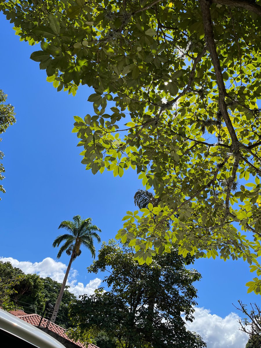 Steffani_CA's tweet photo. Gracias a Dios ☀️ https://t.co/FBgkq0ZECb