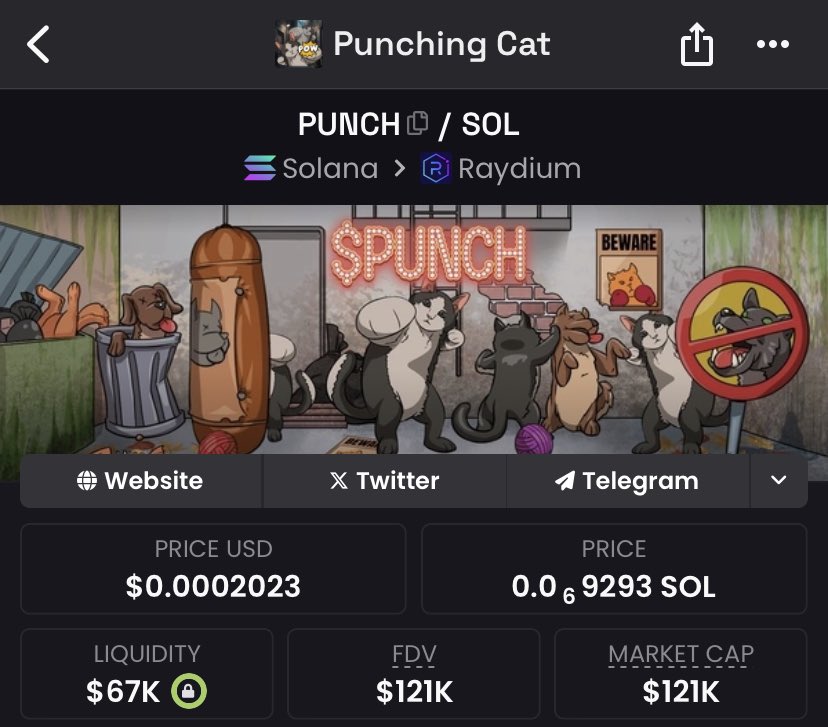 lord_vec's tweet photo. Day 75: $PUNCH doc till $100m MC
While others tap out, we’re here throwing jabs, stacking bags, and holding the line. The bigger the sell wall, the harder we punch through.
The underdog story isn’t over yet get ready for the comeback. 🥊 #PunchingCat @Punchcat_sol @charliefx_ https://t.co/u6ehLGTeT5