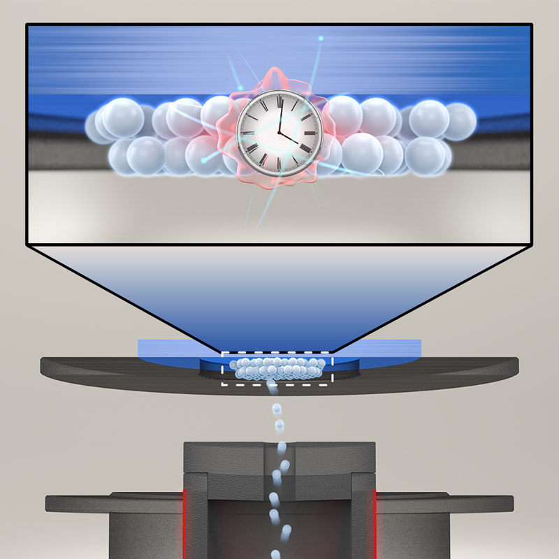 JILA (@jilascience) on Twitter photo In a new <a href="/Nature/">nature</a> paper, JILA and <a href="/NIST/">National Institute of Standards and Technology</a> Fellow and @CUBoulderphys prof Jun Ye and his team collaborated with <a href="/UCLA/">UCLA</a> prof Eric Hudson to make a method for creating thin layers of thorium, a promising new platform for future #nuclearclocks.
jila.colorado.edu/news-events/ar…
<a href="/CUArtsSciences/">CU Boulder College of Arts and Sciences</a> In a new <a href="/Nature/">nature</a> paper, JILA and <a href="/NIST/">National Institute of Standards and Technology</a> Fellow and @CUBoulderphys prof Jun Ye and his team collaborated with <a href="/UCLA/">UCLA</a> prof Eric Hudson to make a method for creating thin layers of thorium, a promising new platform for future #nuclearclocks.
jila.colorado.edu/news-events/ar…
<a href="/CUArtsSciences/">CU Boulder College of Arts and Sciences</a>